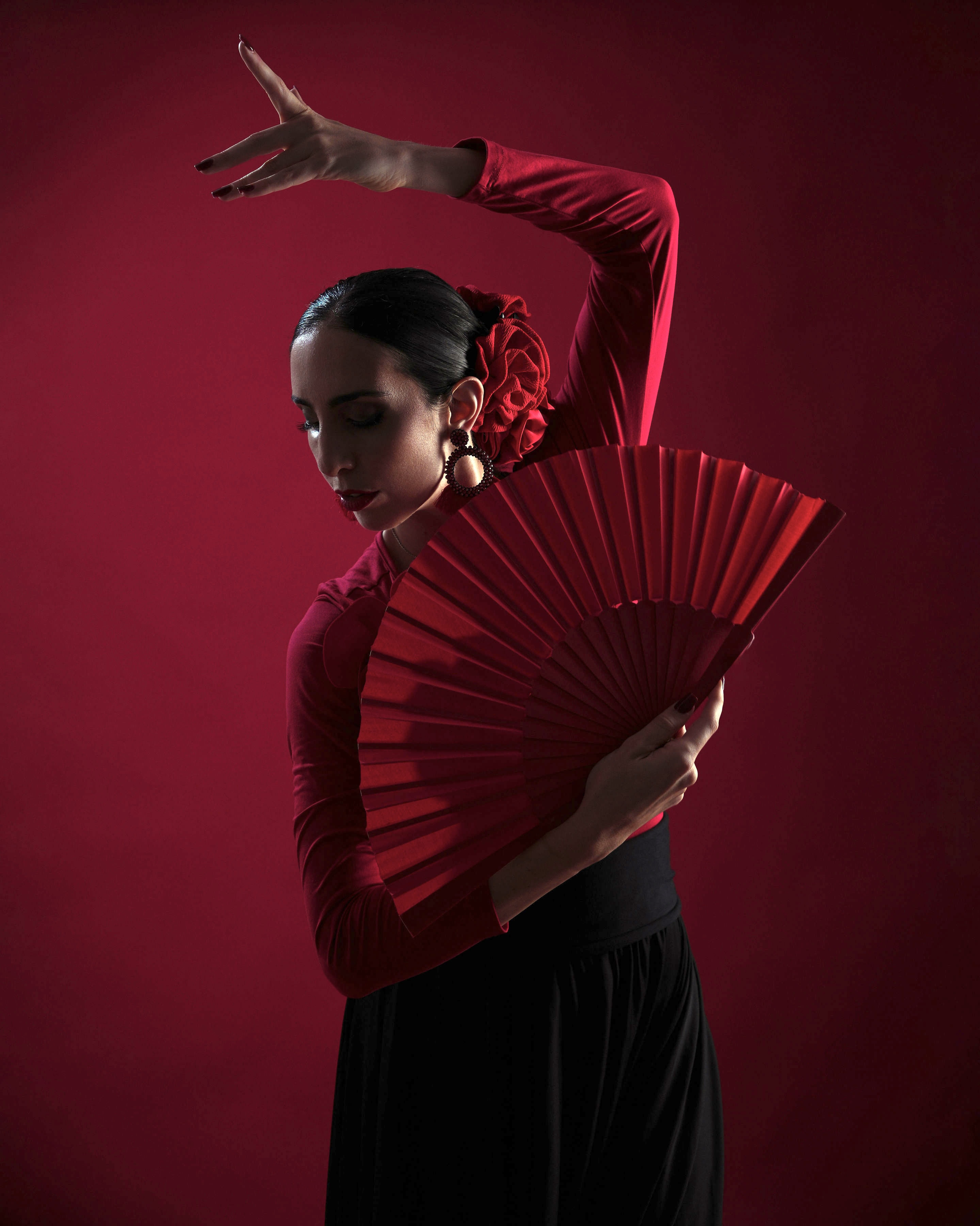 Flamenco 1