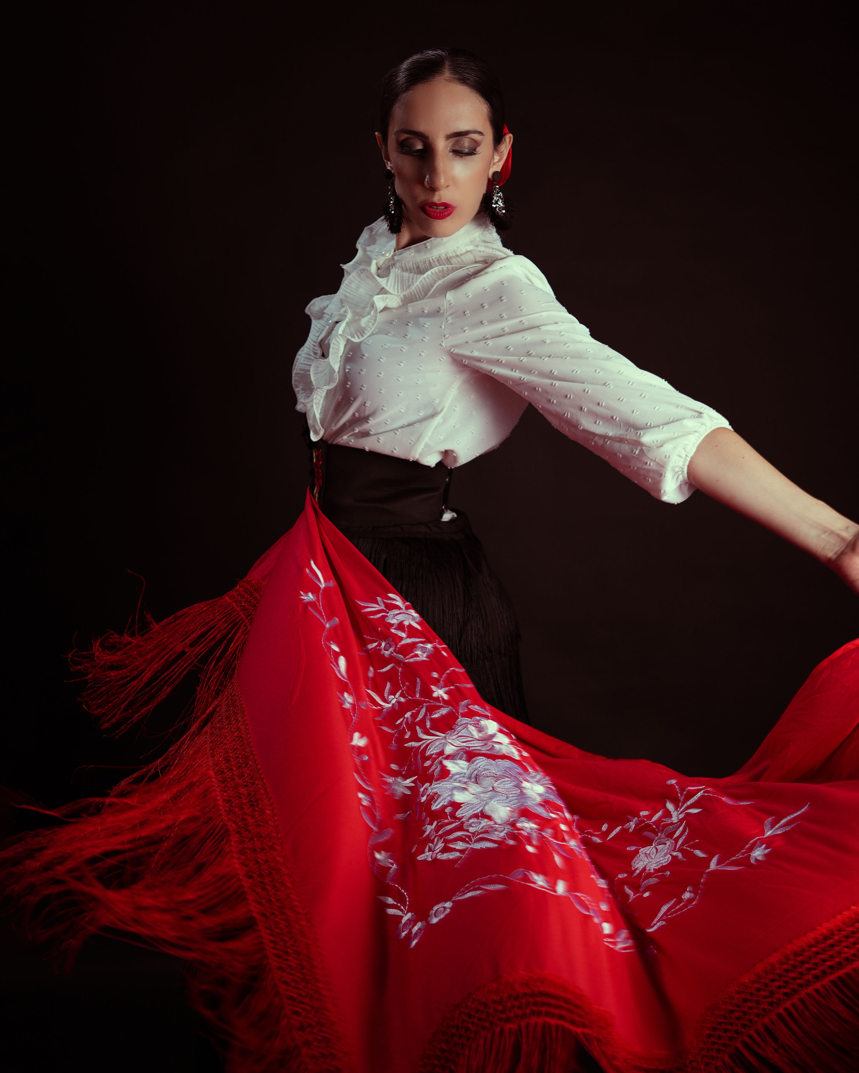 Flamenco 6